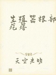 生殖器根部长有疙瘩