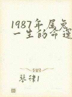 1987年属兔一生的命运
