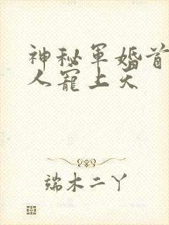 神秘军婚首长大人宠上天封面