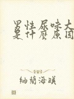 男性尿味大难闻是什么原因