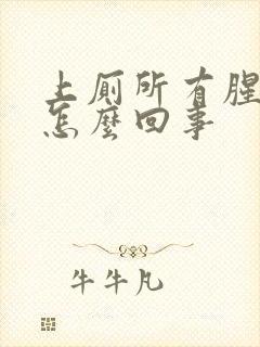 上厕所有腥臭味怎么回事