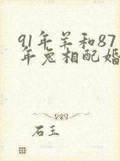 91年羊和87年兔相配婚姻如何