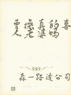 曹操真的喜欢别人老婆吗封面