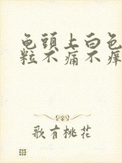 龟头上白色小颗粒不痛不痒封面