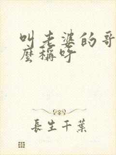 叫老婆的哥哥怎么称呼