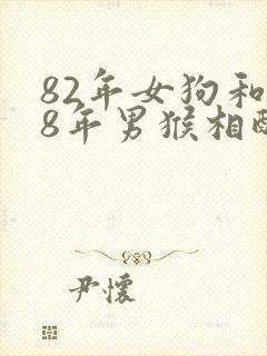 82年女狗和68年男猴相配婚姻如何