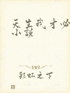 天生我才必有用小说封面