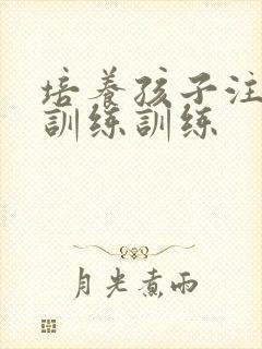 培养孩子注意力训练训练封面