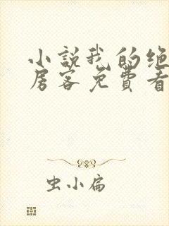 小说我的绝色女房客免费看封面