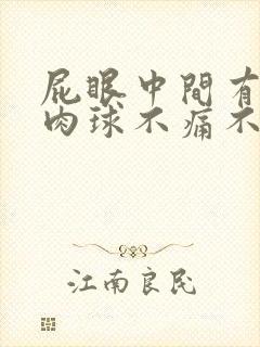 屁眼中间有一个肉球不痛不痒