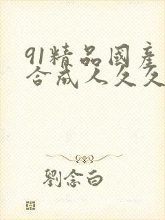 91精品国产综合成人久久