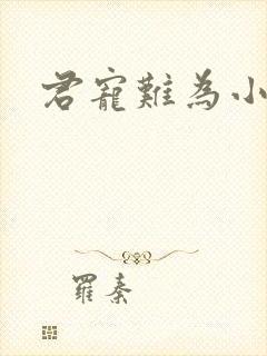 君宠难为小说封面