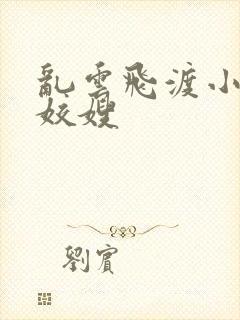 乱云飞渡小说之姣嫂封面