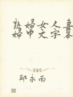 熟妇女人妻丰少妇中文字幕