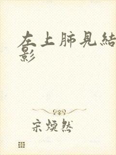 左上肺见结节阴影