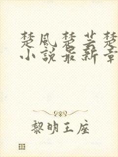 楚风楚芸楚鸿飞小说最新章节封面