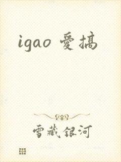 igao 爱搞