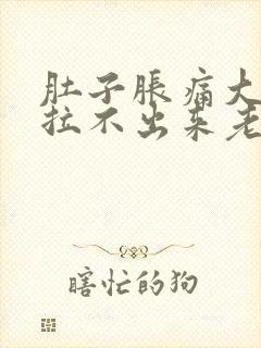 肚子胀痛大便又拉不出来老放屁