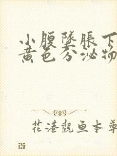 小腹坠胀下体有黄色分泌物封面