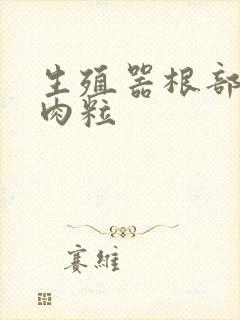 生殖器根部起个肉粒