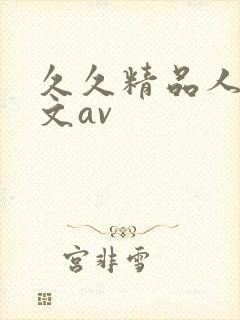 久久精品人妻中文av