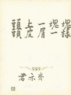 头上一块块的跟头皮屑一样怎么治疗