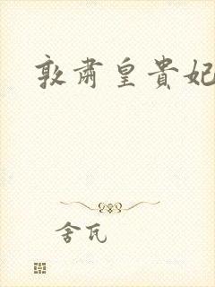 敦肃皇贵妃封面