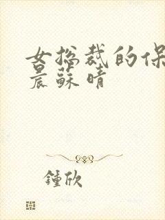 女总裁的保镖萧晨苏晴