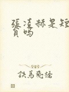 张凌赫是短剧演员吗