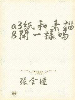 a3纸和素描纸8开一样吗