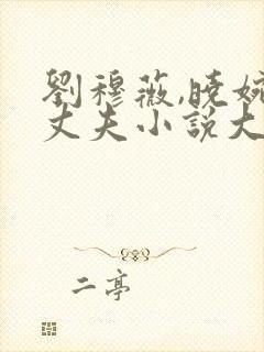 刘穆薇,晓婉,丈夫小说大结局