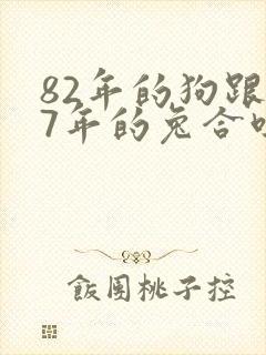 82年的狗跟87年的兔合吗