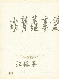 小说叶玄,澹台明月绝梦反派