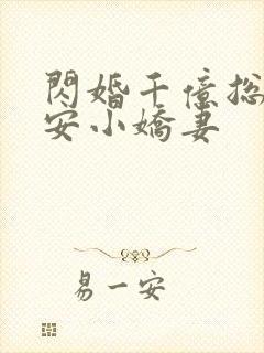 闪婚千亿总裁吻安小娇妻