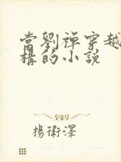 当刘禅穿越成赵构的小说