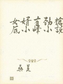 女婿有劲枪枪到底小峰小说封面