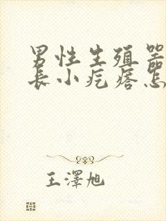 男性生殖器上面长小疙瘩怎么回事