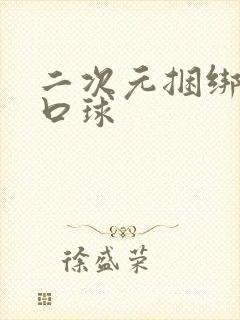 二次元捆绑束缚口球