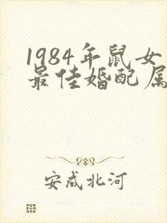 1984年鼠女最佳婚配属相封面