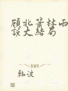 顾北萧林雨菲小说大结局