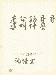 老公的哥哥的老婆叫什么