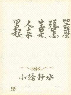 男人生殖器硬不起来是怎么了