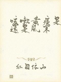 咳嗽黄痰是风热还是风寒