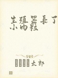 生殖器长了一个小肉粒