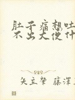 肚子痛想吐又拉不出大便什么原因