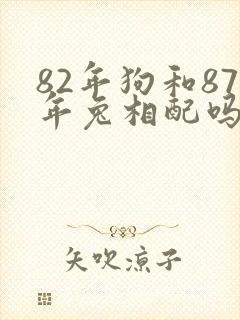 82年狗和87年兔相配吗