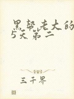 黑帮老大的365天第二封面