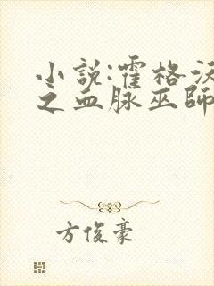 小说:霍格沃茨之血脉巫师