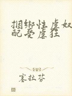 捆绑性虐奴役支配受虐狂