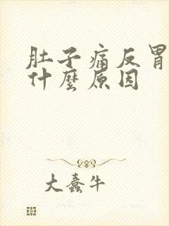 肚子痛反胃呕吐什么原因